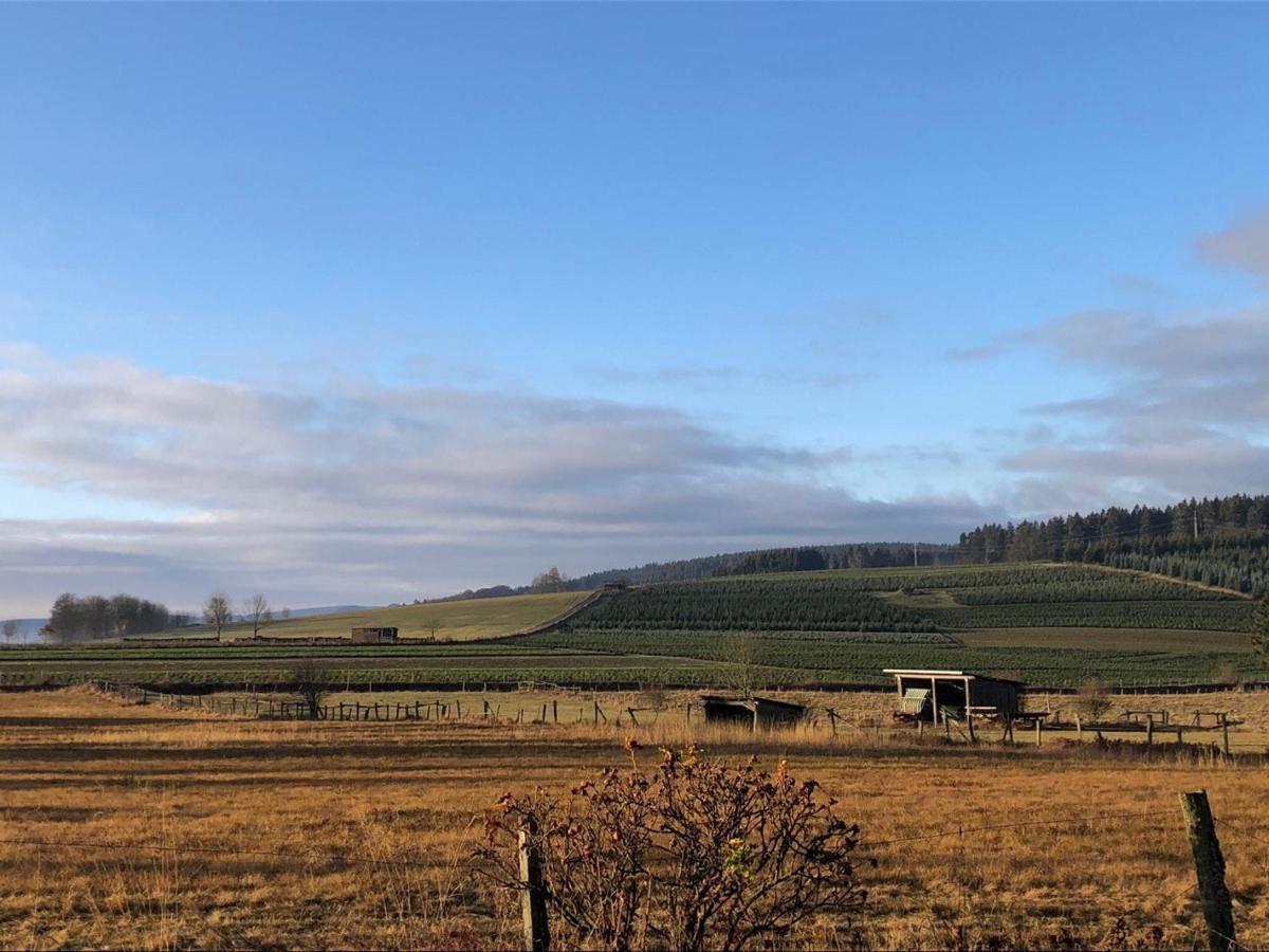 Ferienhaus Kuestelblick Medebach Buitenkant foto