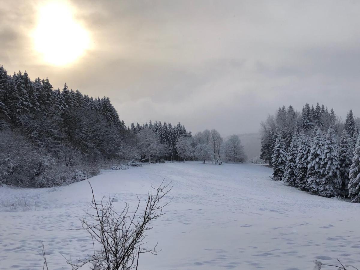 Ferienhaus Kuestelblick Medebach Buitenkant foto